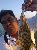 ป่าสัก