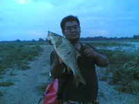 ป่าสัก