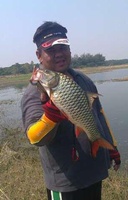 ป่าสัก