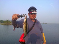 ป่าสัก
