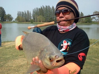 tip ตรุษจีนจ๊า