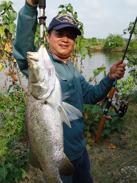 เทสไปมันส์ไป
