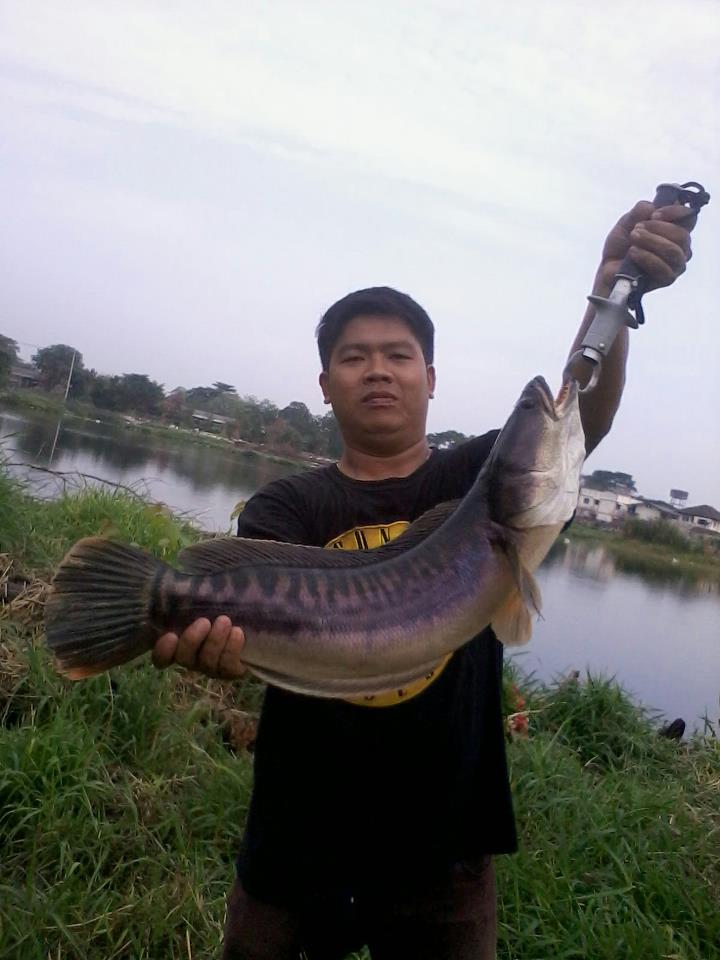 เช้านี้.... ที่หลังเอื้ออาทรสายไหม ครับ