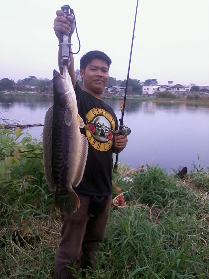 เช้านี้.... ที่หลังเอื้ออาทรสายไหม ครับ