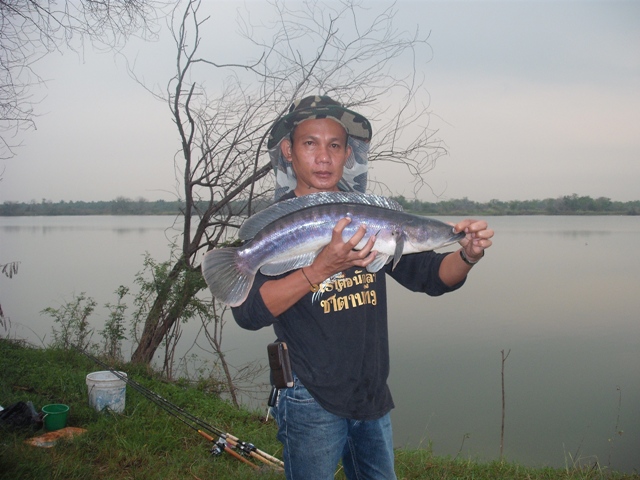 ฉลองตรุษจีนที่สามโคกของทีมซาตาน