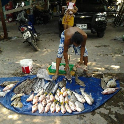 ๋Jomtien Fishing