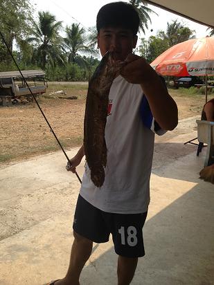 ปลาช่อนบ่อไม่เคย..วิด..