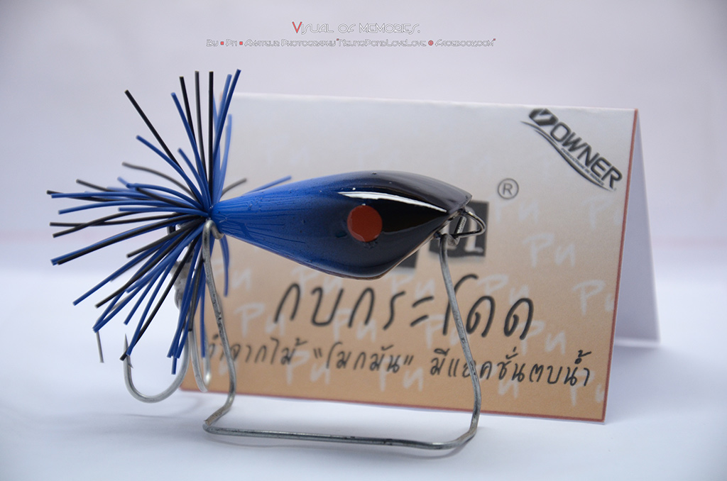 กบ.."Pn" 13/2/56