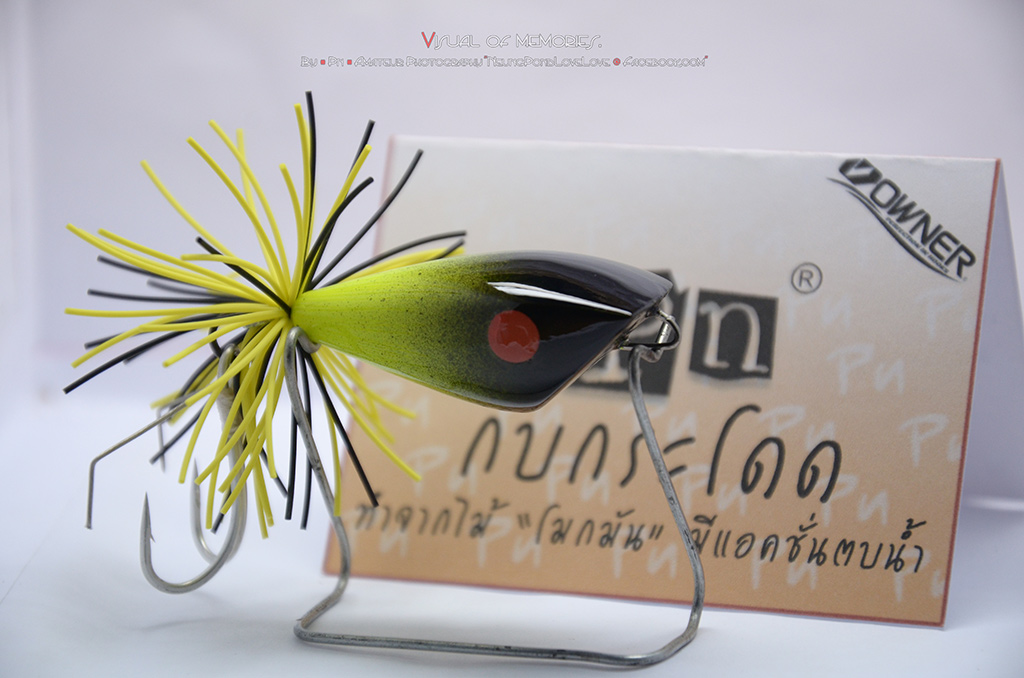 กบ.."Pn" 13/2/56