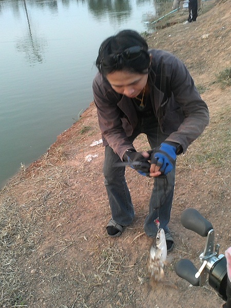 ตกกะพงแต่ได้...สวาย