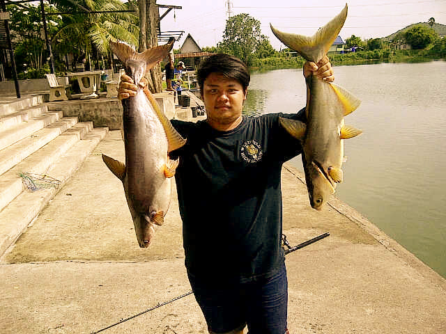 ภาพเก่ามาเล่าใหม่