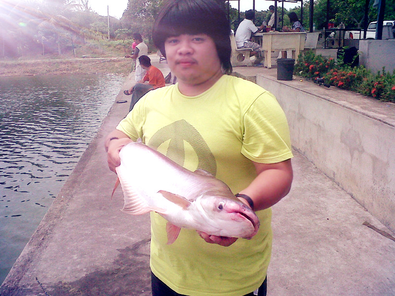 ภาพเก่ามาเล่าใหม่