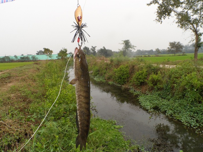 ที่นี่ "เพชรบุรี" ดีจัง