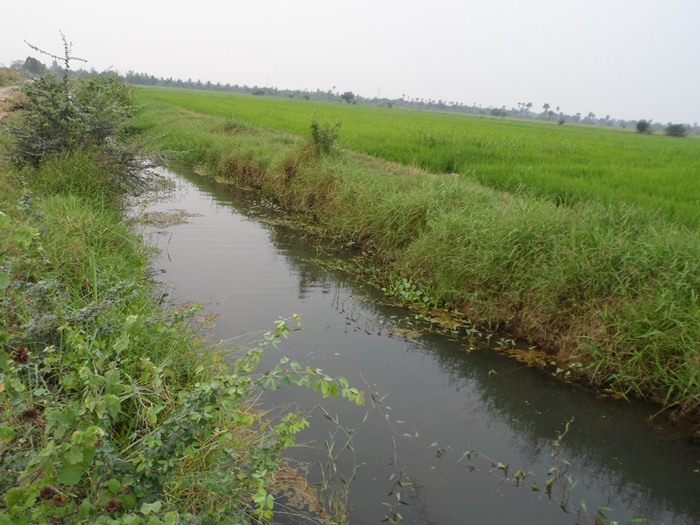 ที่นี่ "เพชรบุรี" ดีจัง