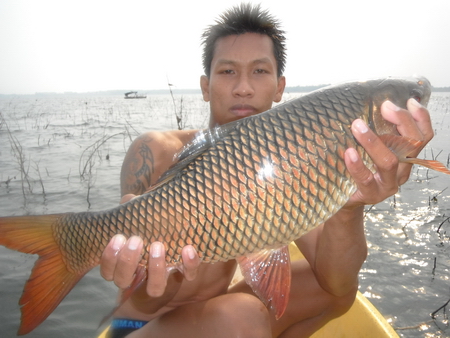 ..ยี่สกซ่าอ่างมาบประชัน..