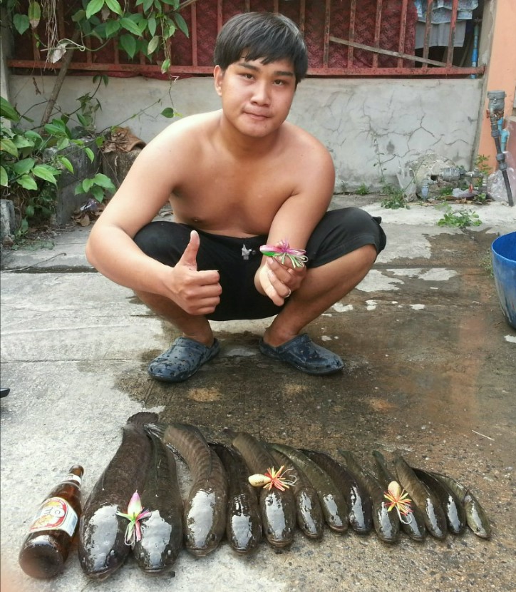 ทำแล้วทดลองหหน่อย