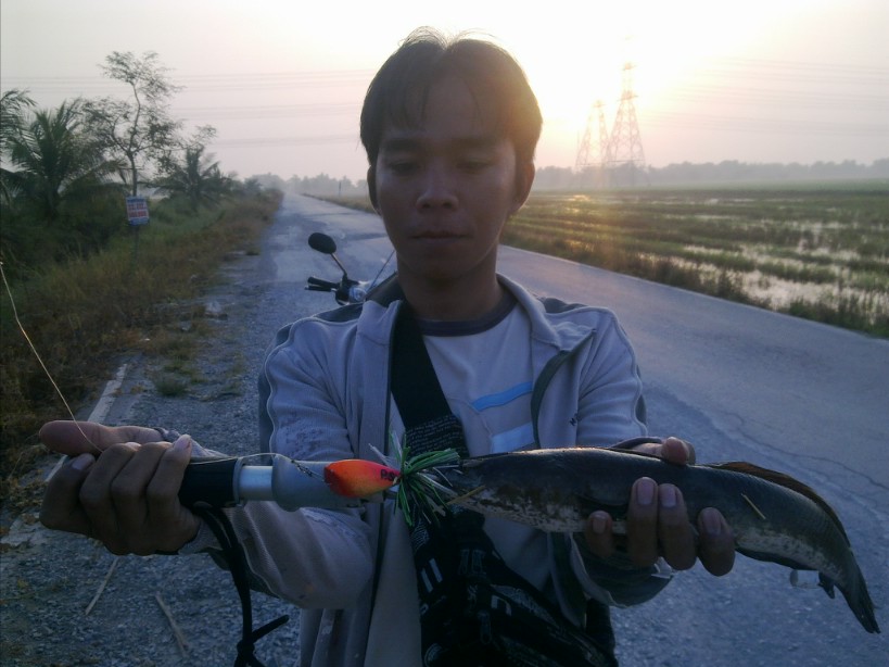 ทำแล้วทดลองหหน่อย