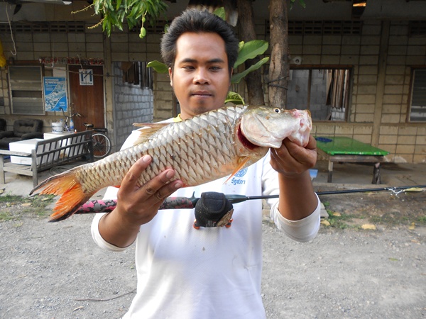 กระสูบน้ำไหลมันสุดยอด