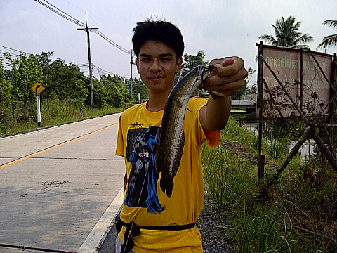 ***ช่อนใหญ่ วัดไพร่ฟ้า **