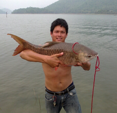 เล่นของใหญ่ที่ปลายนาสวน