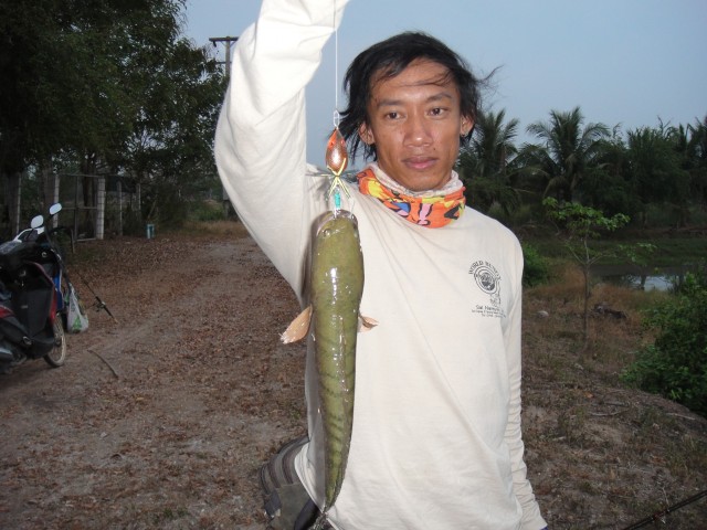 ช่อนนิ๊  ที่ด่านขุนทด  ภาค 5