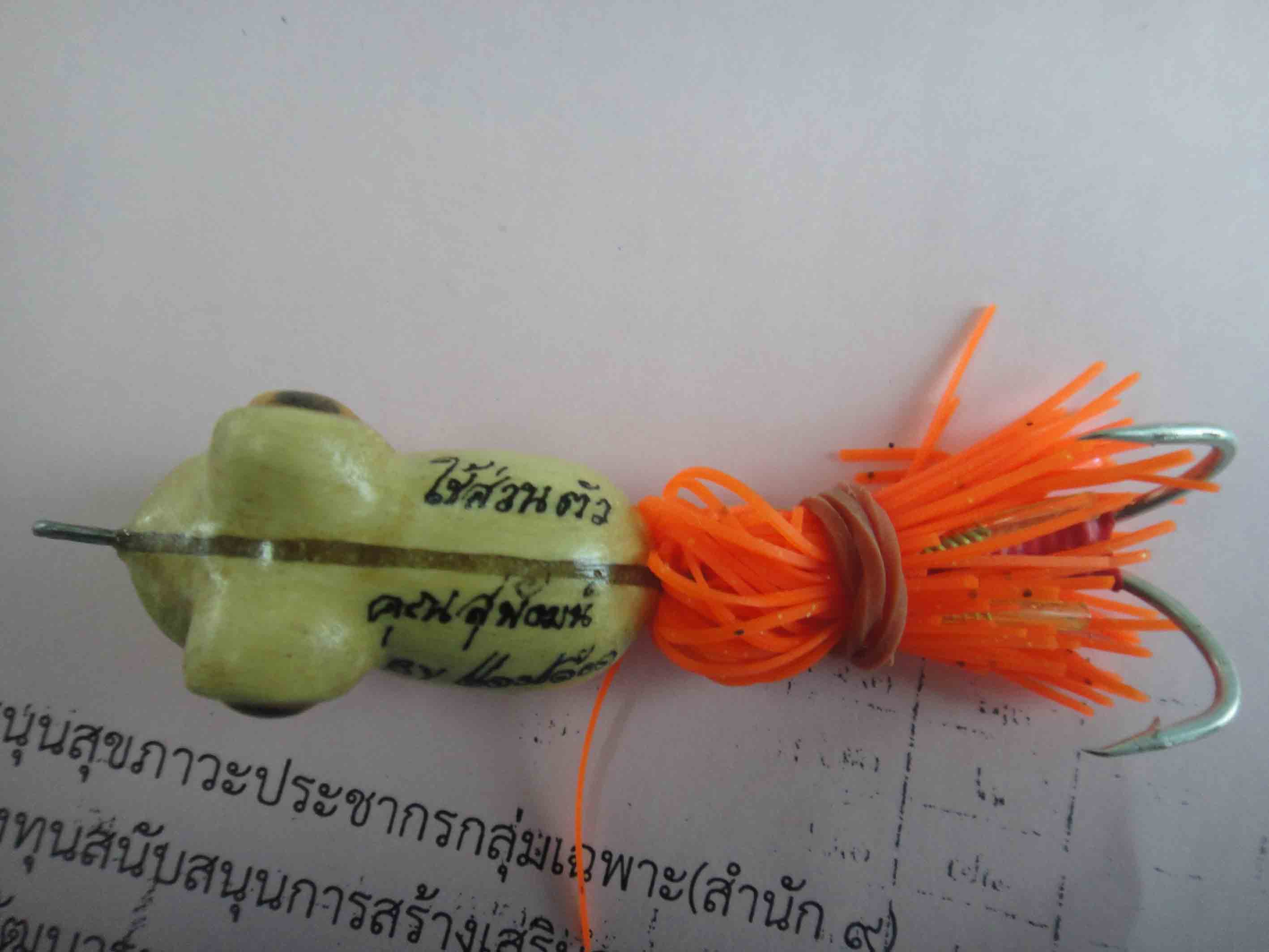 กบกระปุ๊กลุ๊ก  (ยี่ห้อแดงเดือด)  ส่งมาให้นักพัฒนาชุมชนใช้
