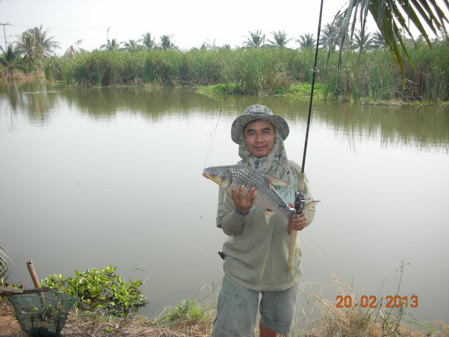 เมื่อเพื่อนร่วมแก็งค์ชวนล่าปลาคลอง