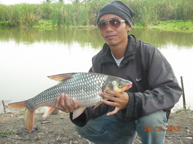 เมื่อเพื่อนร่วมแก็งค์ชวนล่าปลาคลอง