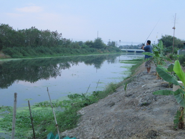 ช่อนคลองคับ