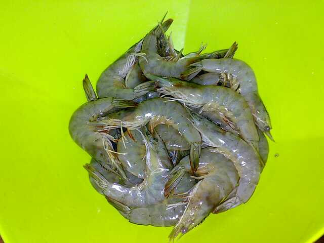 กุ้งผัดน้ำปลา เมนูง่ายๆแต่ได้ใจ