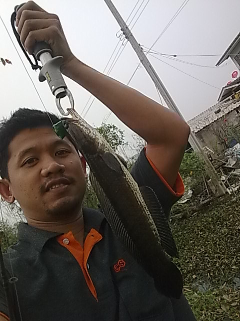 หลังเลิกงานก็ตกปลา