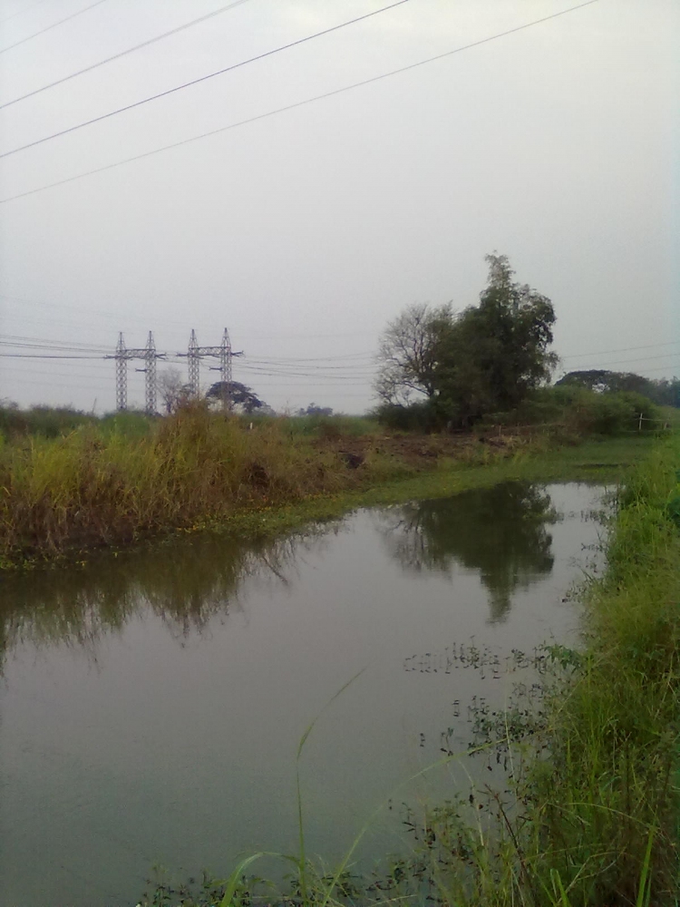 เยียวยาที่ลพบุรี