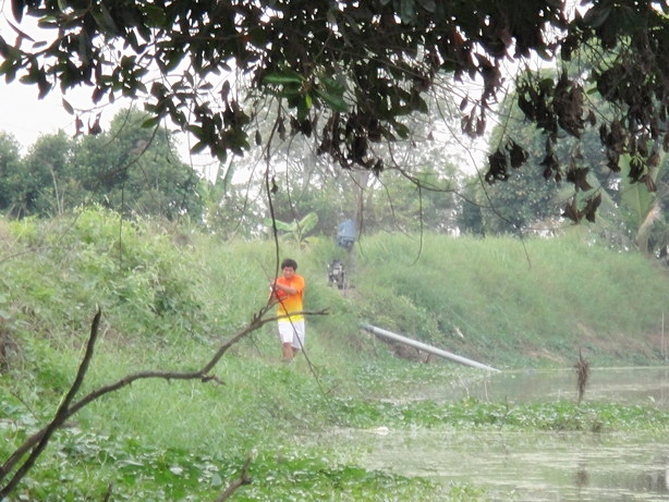 ช่อนคลองตัวสวย (21/02/56)