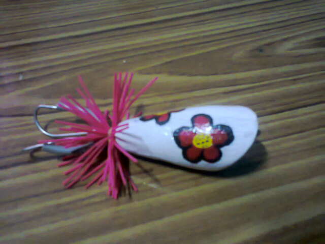 กบส่าย ลายหวานๆ
