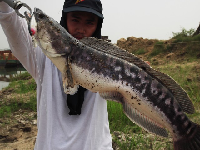 ผลงาน R.F.G. Fishing Club ครับ