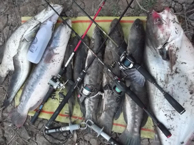 ผลงาน R.F.G. Fishing Club ครับ