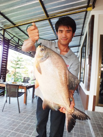 เปคูเมื่อวาน3โลพอดี