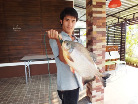 เปคูเมื่อวาน3โลพอดี