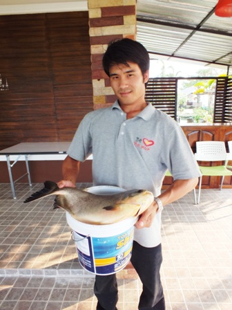 เปคูเมื่อวาน3โลพอดี