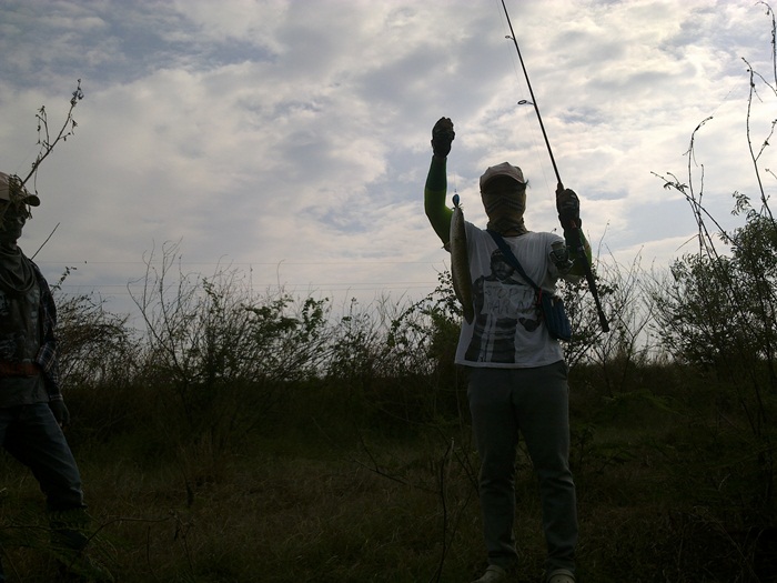 @ ช่อนคลองต้องไซร์นี้ @