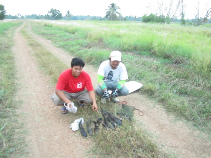 @ ช่อนคลองต้องไซร์นี้ @