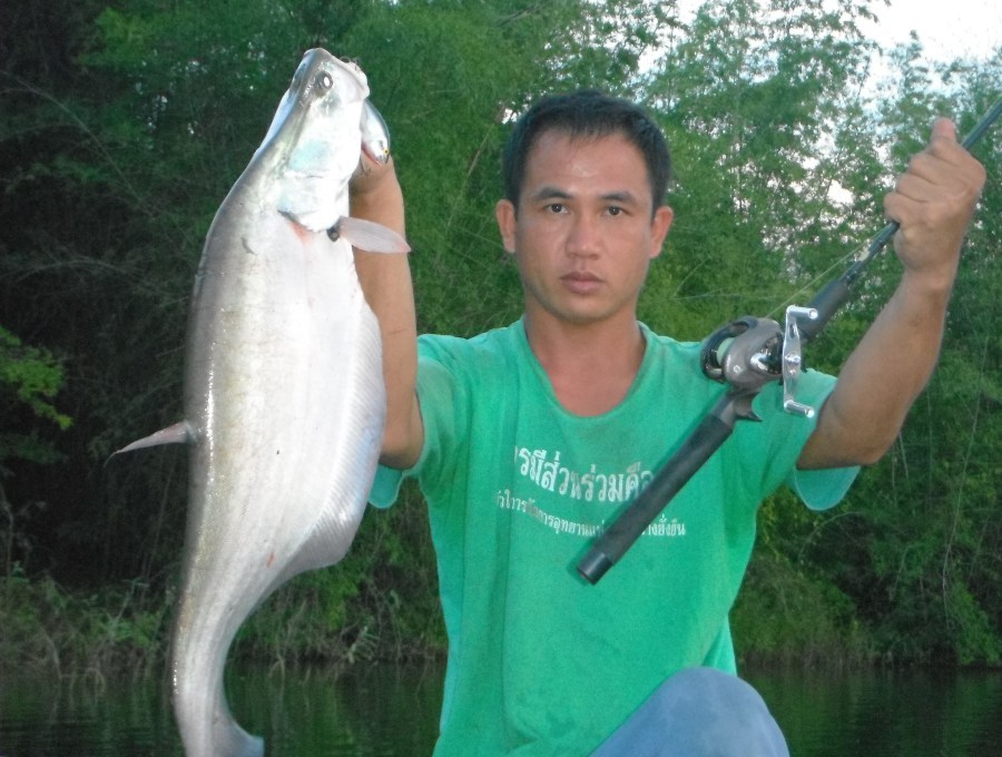 เก็บมาฝาก จากโชค ฝากข่าวมา 