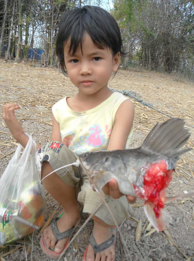 เก็บมาฝาก จากโชค ฝากข่าวมา 