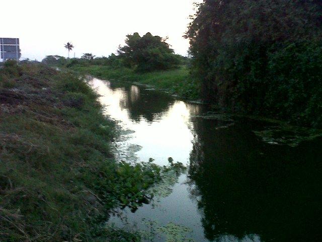 สภาพหมายปลาช่อนเพชรบุรีคับ แถวนี้หมาย น้าก๋ง (kongfishing) แนะนำ^^