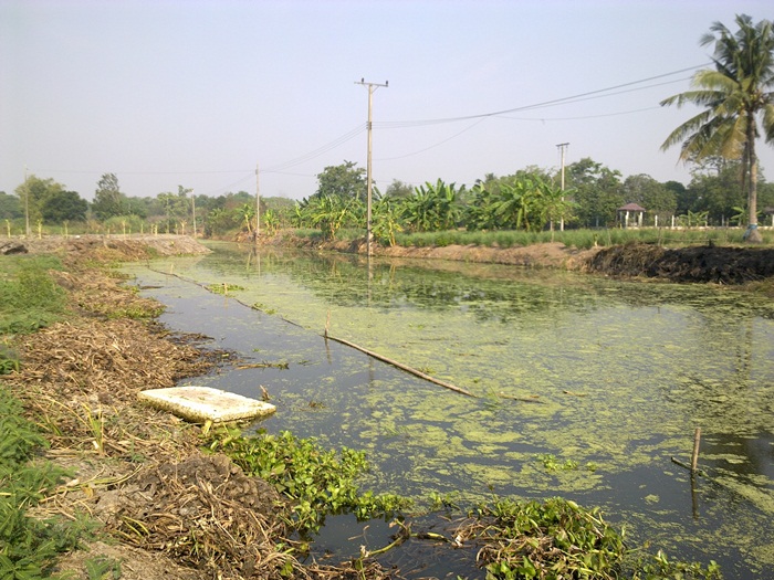 @ วิ่งไปเรื่อยตามข้างทาง @