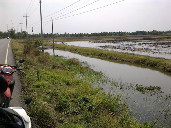 @ วิ่งไปเรื่อยตามข้างทาง @