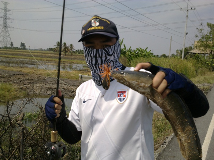 @ วิ่งไปเรื่อยตามข้างทาง @