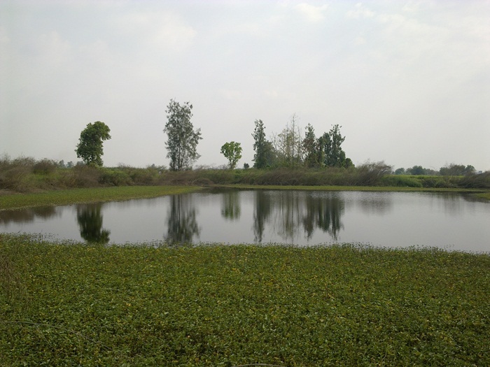 @ วิ่งไปเรื่อยตามข้างทาง @