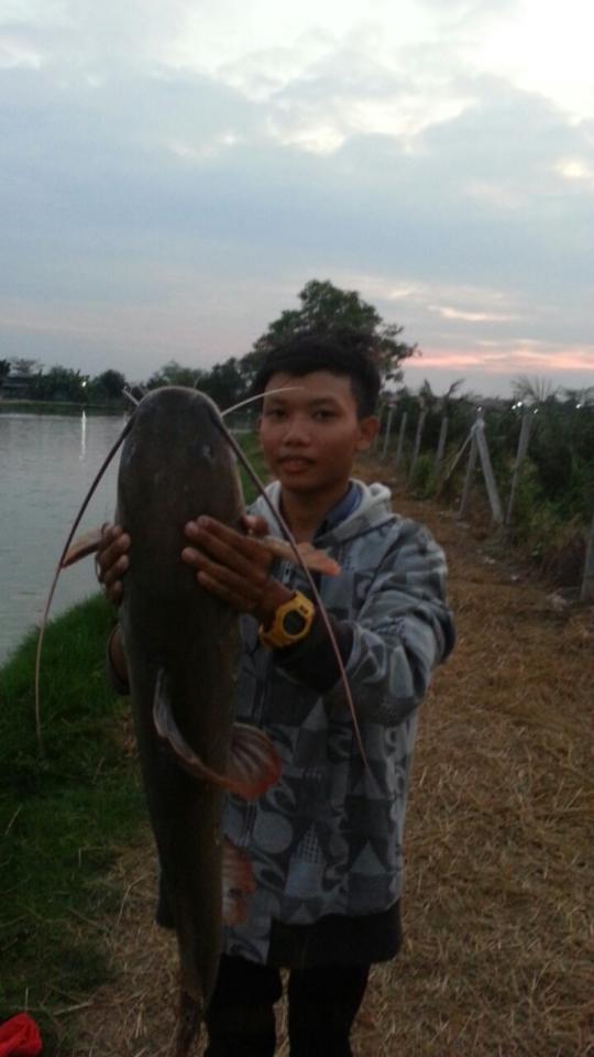 บ่อหนุ่มในวันที่ปลากัดยาก...