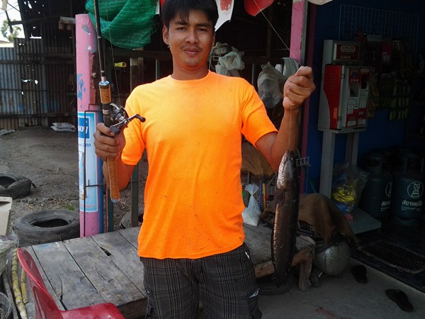 อัพเดตกันวันต่อวัน  by นัน  บางไทร    28/02/56  